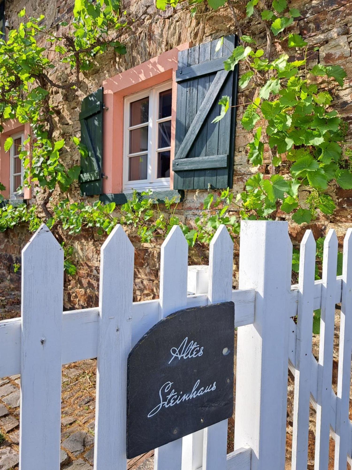 Landhaus Am Aremberg / Eifel Antweiler エクステリア 写真