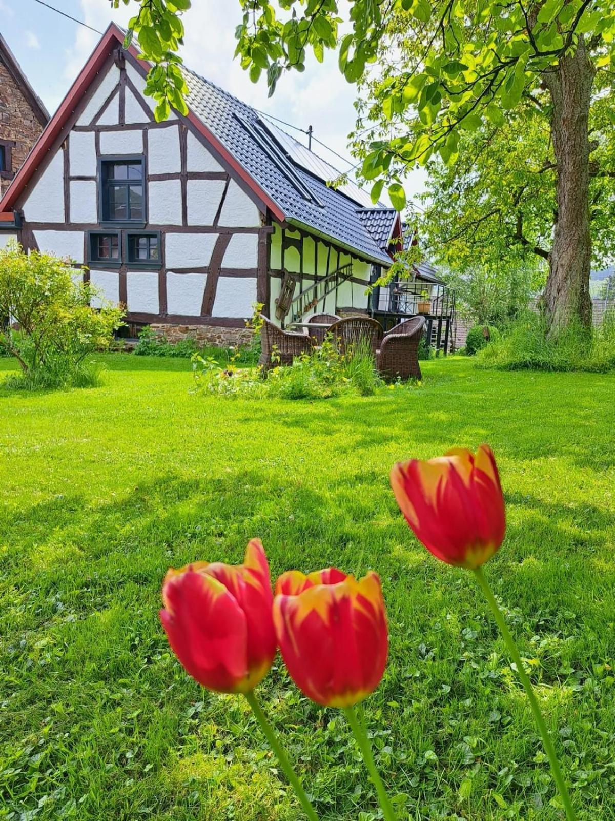 Landhaus Am Aremberg / Eifel Antweiler エクステリア 写真